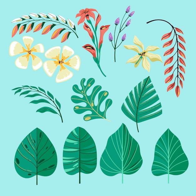 Tropikalna Kolekcja Z Egzotycznymi Kwiatami I Liśćmi