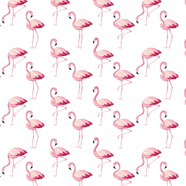 Tropikalne Flamingi Kreskówka Wzór