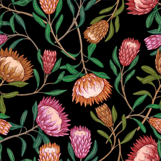 Tropikalne kwiaty Protea. Ozdoba z egzotycznymi roślinami. Ręcznie rysowane wektor wzór. Vintage botaniczny projekt tapety, nadruku, wystroju, tła, tekstyliów.