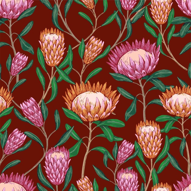 Tropikalne kwiaty Protea. Ozdoba z egzotycznymi roślinami. Ręcznie rysowane wektor wzór. Vintage botaniczny projekt tapety, nadruku, wystroju, tła, tekstyliów.