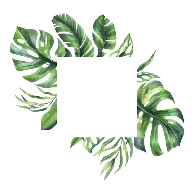 Tropikalne liście kokosowe, bananowe, palmowe, monstera, maska małpy, frangipani, jasna, soczyste, zielona, rysowana ręcznie