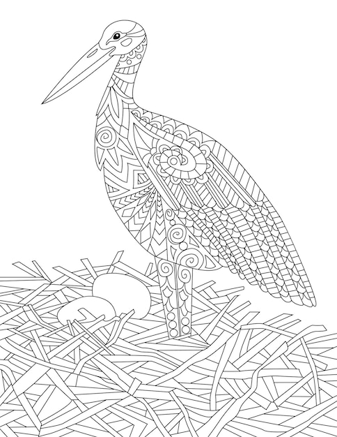 Tropikalne Ptaki Gryzmoły Na Drzewach Rysunek Odręczny Pelikan Obraz Linii Flamingo Ilustracja Drzewa Dzikie