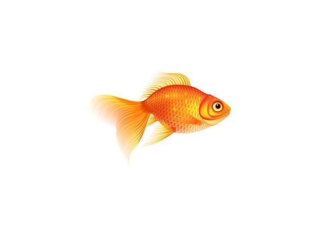 Tropikalny akwarium bóg ryby ilustracja wektorowa 3D Koncepcja izolowana na białym tle