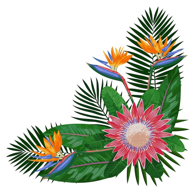 Plik wektorowy tropikalny bukiet z liśćmi kwiatów tropikowa kompozycja kwiatowa narożna makieta na kartkę z życzeniami