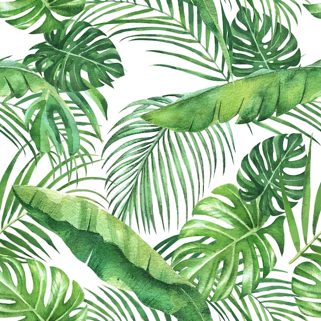 Tropikalny deseniowy projekt z monstera liśćmi i palmowymi liśćmi, ilustracja.