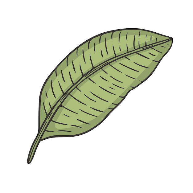Plik wektorowy tropikalny liść doodle ilustracji wektorowych