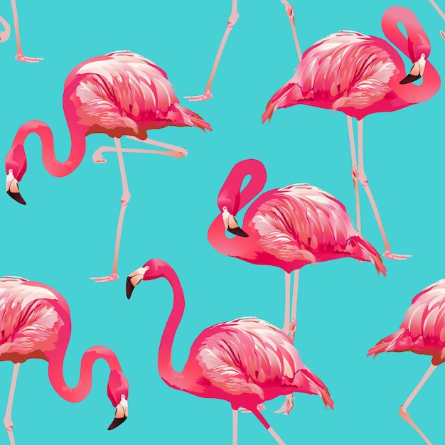 Tropikalny ptak flamingo tło - wzór