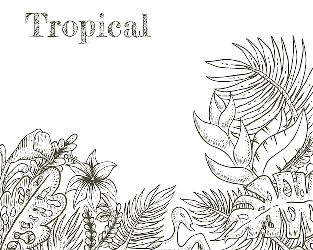 Tropikalny Ręcznie Rysowane Ilustracji Wektorowych