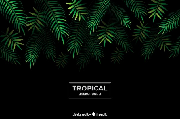Tropikalny Tło
