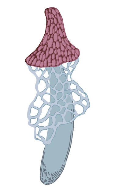 Plik wektorowy trujący grzyb grzybowy w abstrakcyjnym stylu pojedyncze nowoczesne cliparty na białym tle współczesna ilustracja wektorowa