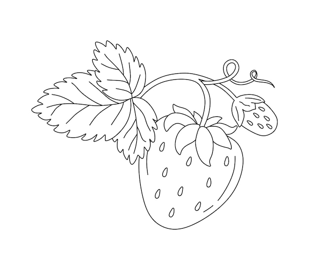 Plik wektorowy truskawka doodle wektor kolorowanka dla dzieci