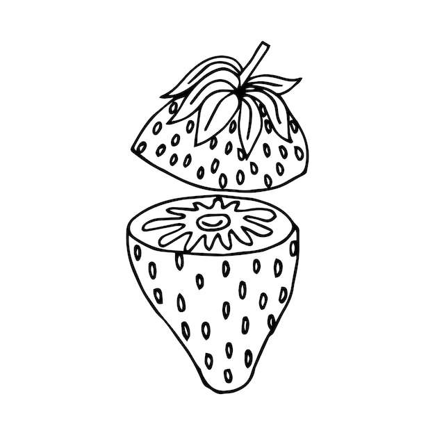 Plik wektorowy truskawka jagoda linia wektor. jagoda truskawka znak. na białym tle symbol konturu czarna ilustracja
