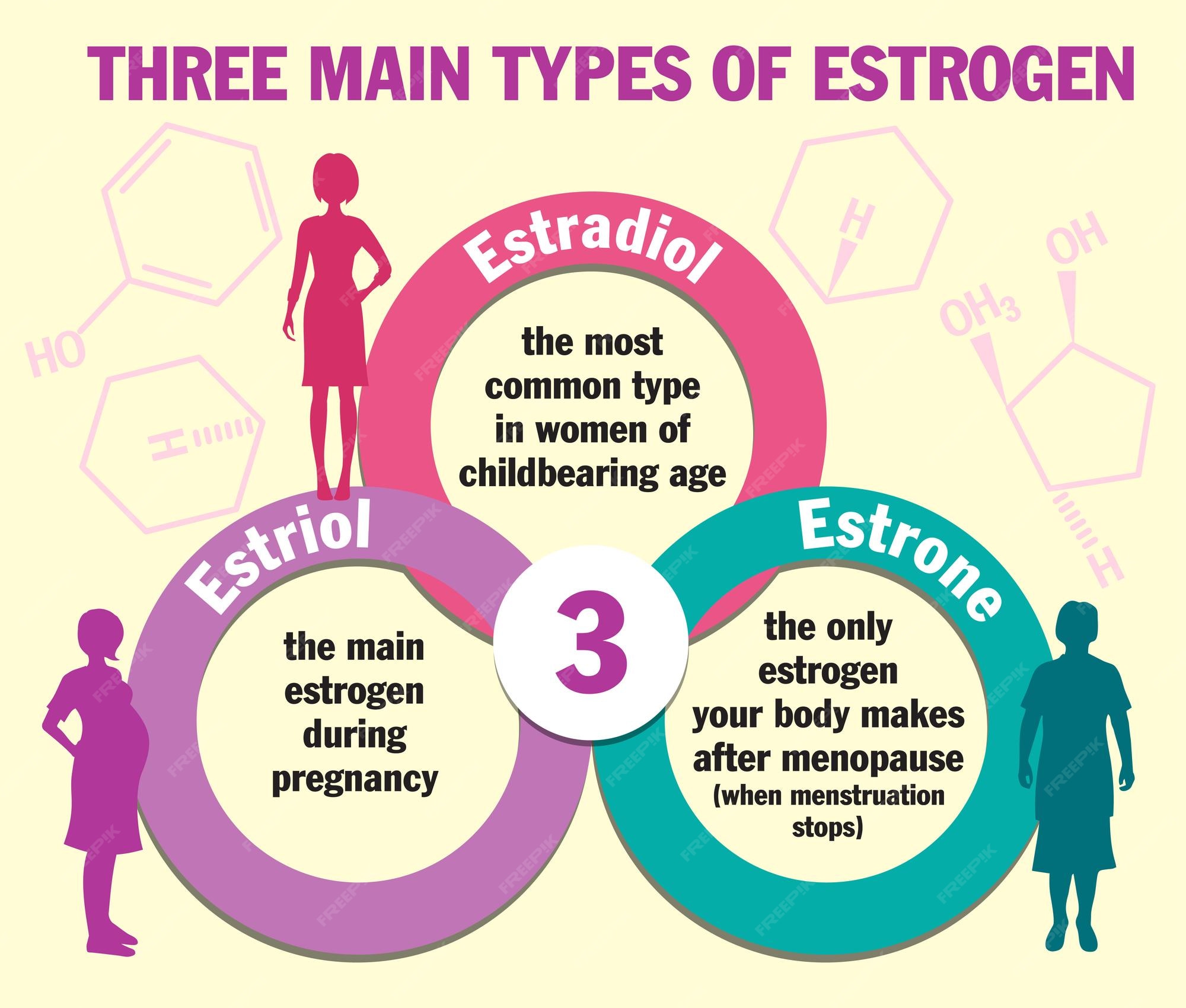 trzy-g-wne-rodzaje-estrogen-w-infografiki-estradiol-estron-i-estriol