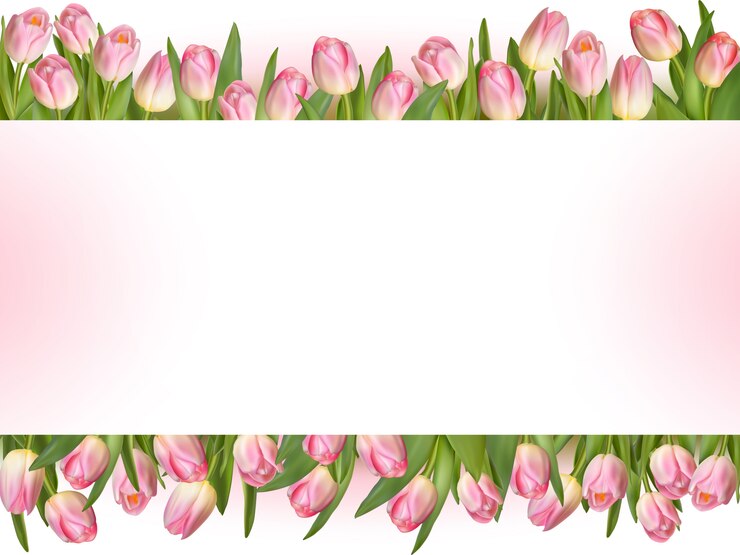 Tulipany tło.