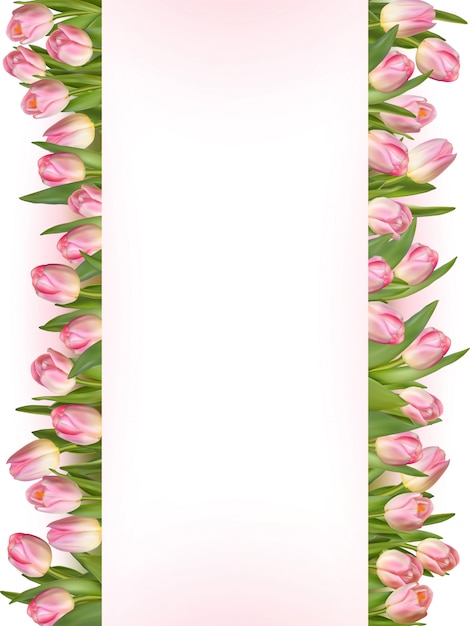 Tulipany tło.
