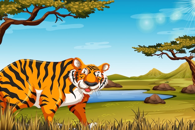 Tygrys W Scenie Przyrody