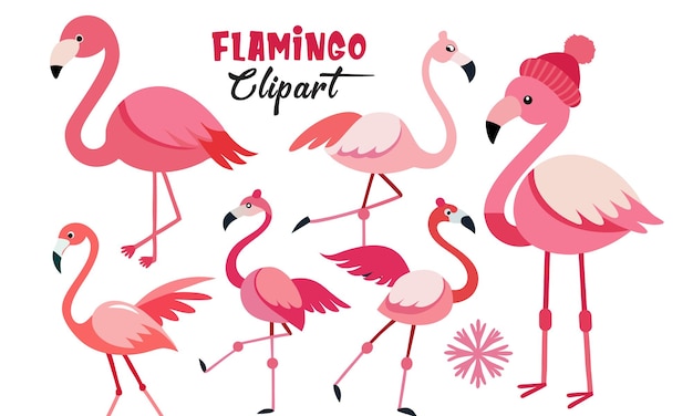 urocza sztuka zwierząt ptak postać clipart flamingo ilustracja różowy wektor dzikiej przyrody