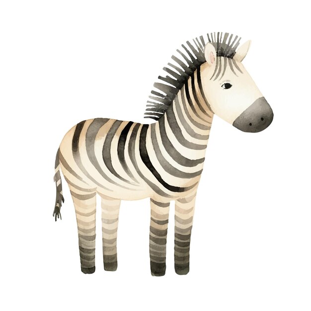 Urocza Zebra Akwarela Ilustracja Wektorowa