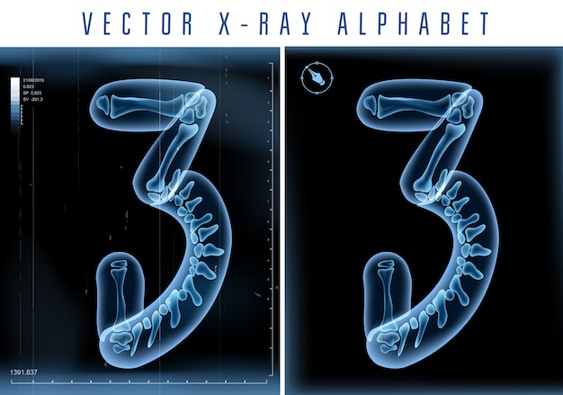 Plik wektorowy użycie przezroczystego alfabetu 3d x-ray w logo lub tekście. numer trzy 3