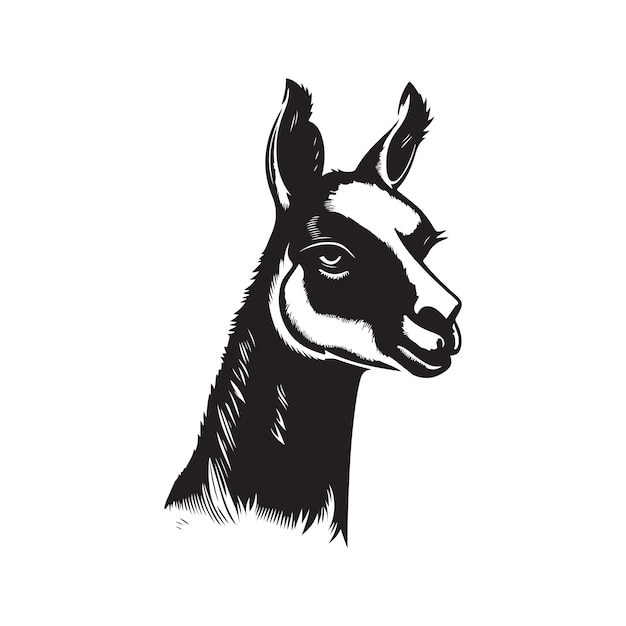 Vicuna vintage logo koncepcja sztuki czarno-biały kolor ręcznie rysowane ilustracja