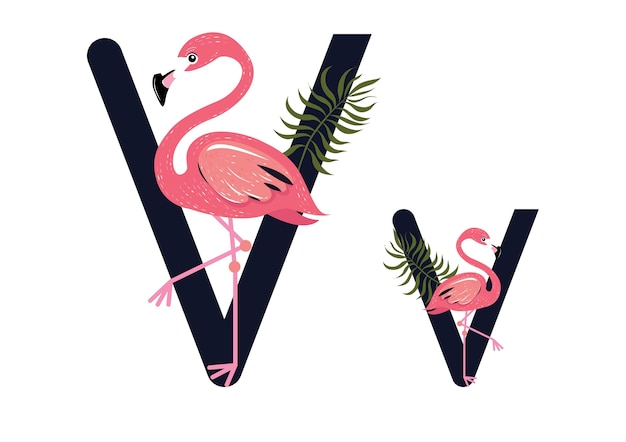 Plik wektorowy vv flamingos