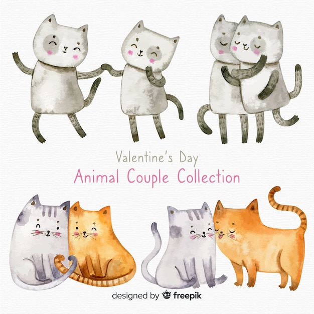 Walentynki Para Kolekcja Kotów