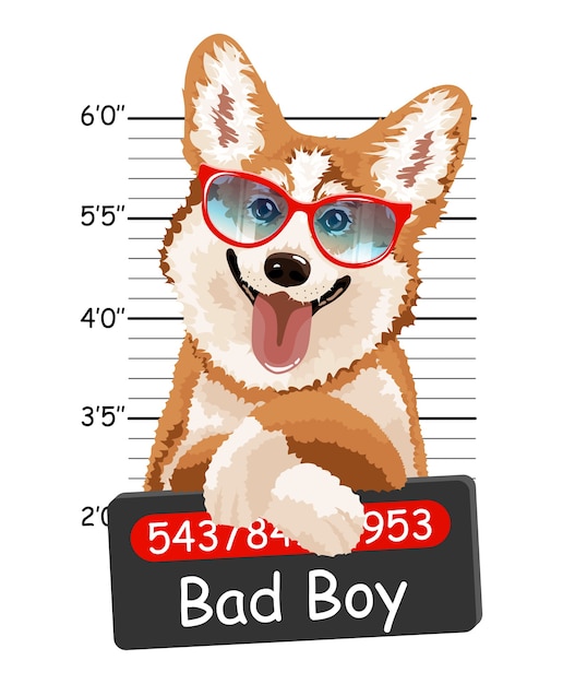 Walijski Corgi Przestępca. śliczne Welsh Corgi. Karta, Kompozycja T-shirt, Nadruk W Stylu Wyciągnąć Rękę.