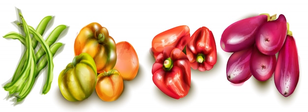 Warzywa Bakłażan I Pomidory Akwarele