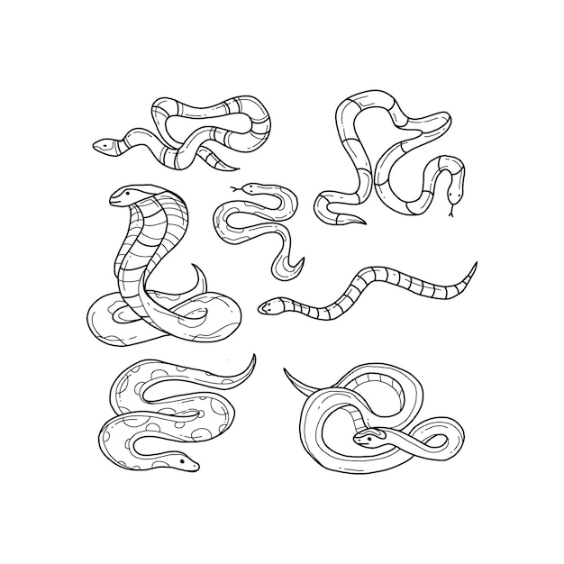 Wąż Handrawn Doodle Ilustracje Wektor Zestaw