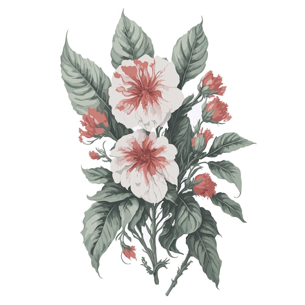 Wektor akwarela anioł skrzydło begonia clipart flora