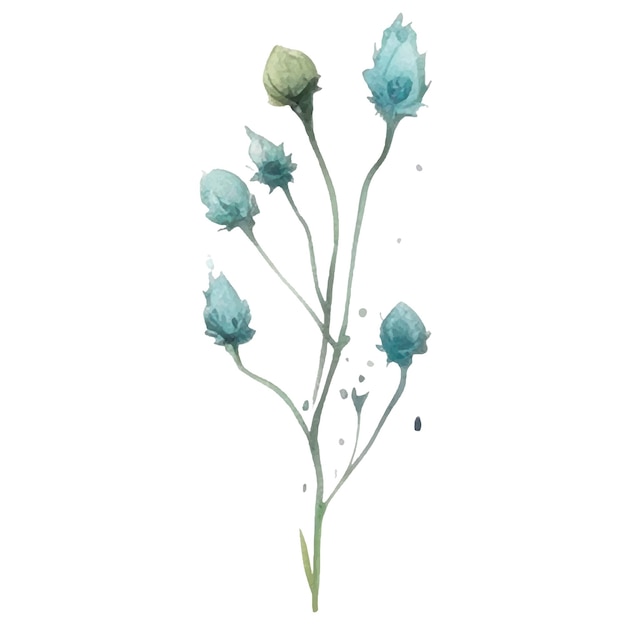Wektor Akwarela Malowane Kwiat Ręcznie Rysowane Elementy Projektu Kwiat Na Białym Tle