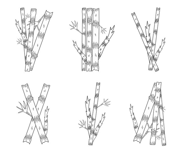 Plik wektorowy wektor bambusowe logo zestaw i liście na białym tle z spacją