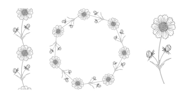 Wektor Czarno-biały Kontur Kwiatów Układ Z Kwiatów Rumianku