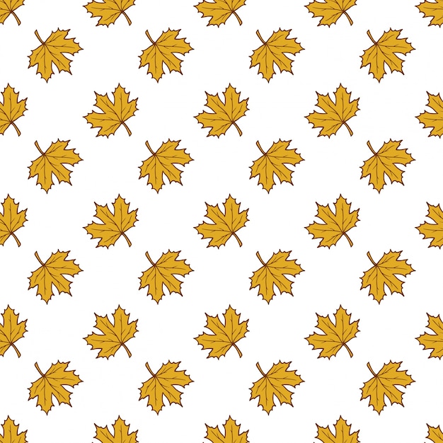 wektor deseniu z jesieni leafes, kwiatów tle, autmn spaść.