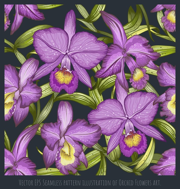 Wektor EPS bezszwowe wzór ilustracja kwiaty orchidei art