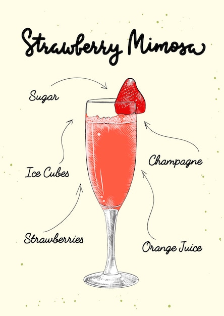 Wektor grawerowany szkic koktajlu truskawkowego Mimosa z napisami i składnikami napojów przepis
