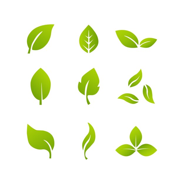 Plik wektorowy wektor ikon liści izolowany na białym tle różne formy zielonych liści drzew
