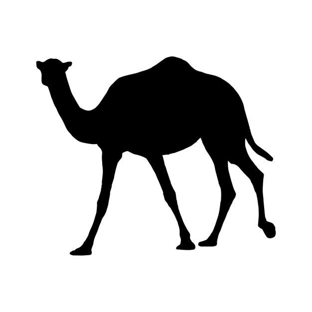 Wektor ikony sylwetki wielbłąda Dromedary sylwetka symbolu lub znaku do projektowania pustyni Sahary afryka