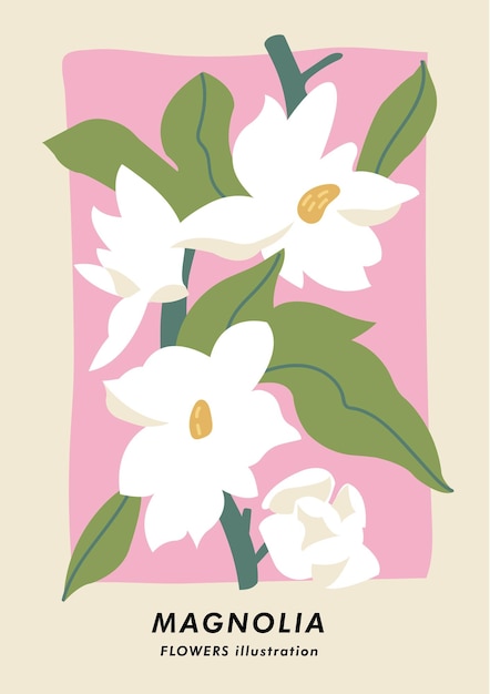 Wektor Ilustracja Botaniczny Plakat Z Kwiatami Magnolii Sztuka Na Pocztówki ścienne Sztuka Transparent Tło