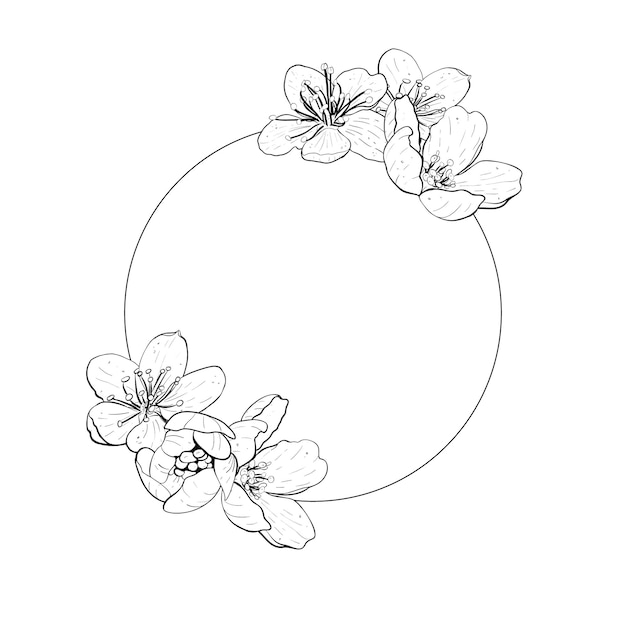 Wektor ilustracja pierścionek skład ramki z kwiatami wiśni sakura jabłko śliwka dzika wiśnia