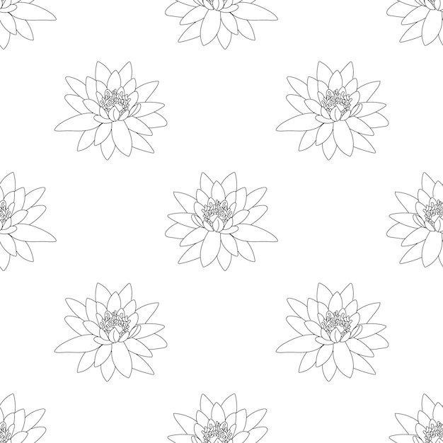 Plik wektorowy wektor ilustracja wzór roślina lilia wodna ręka kontur linii na białym tle