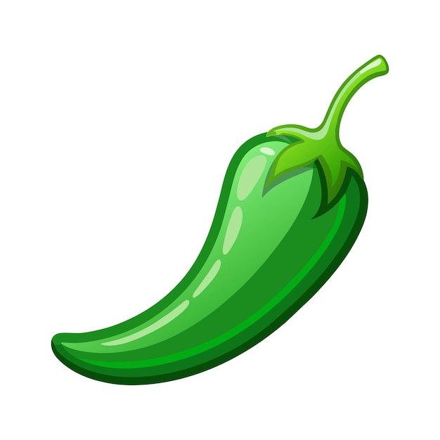 Wektor ilustracji świeżej zielonej pieprzu chili na białym