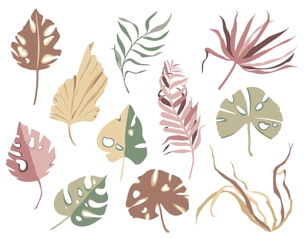 Wektor kolorowe egzotyczne liście Tropikalna kolekcja izolowanych elementów Rumieniec zielone i beżowe kolory Suche liście
