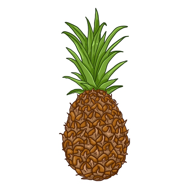 Wektor Kreskówka Cały Ananas