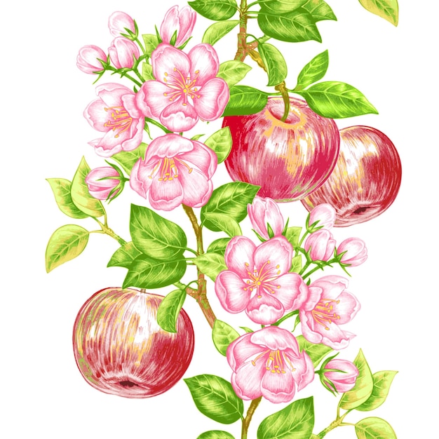 Wektor Kwiatowy Bezszwowe Tło Gałąź Kwitnącej Jabłoni Z Owocami I Kwiatami