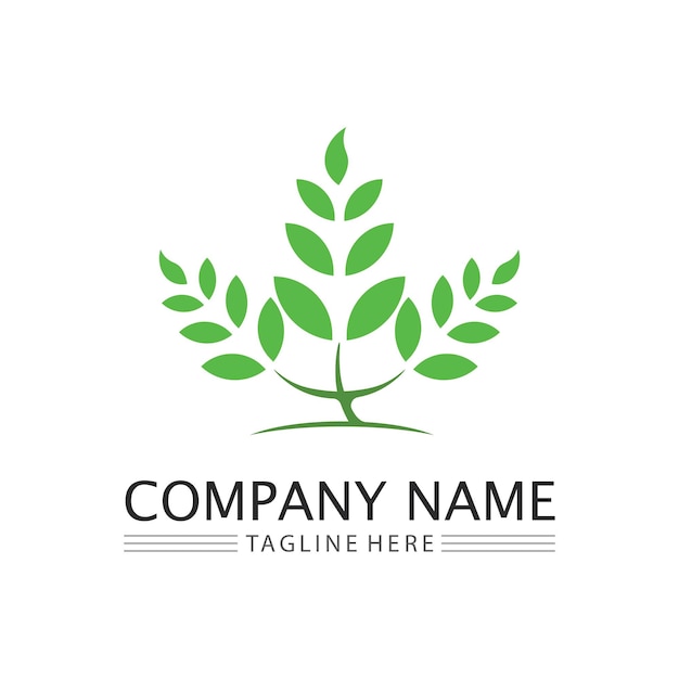 Wektor Logo Projektu Liścia Dla Szablonu Symbolu Natury Można Edytowaćzielony Liść Logo Ekologia Element Przyrody Ikona Wektora