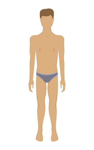 Plik wektorowy wektor męskiego ciała w bieliźnie