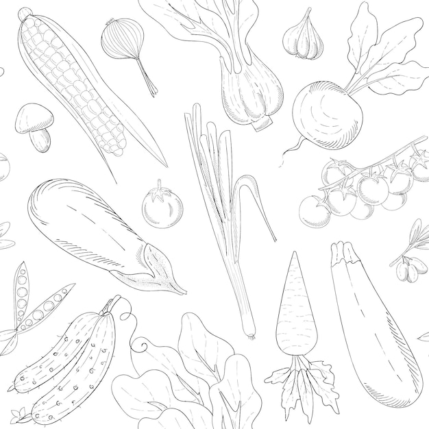 Wektor monochromatyczny wzór z ręcznie rysowane warzywa do projektowania menu, gospodarstwo, rynek