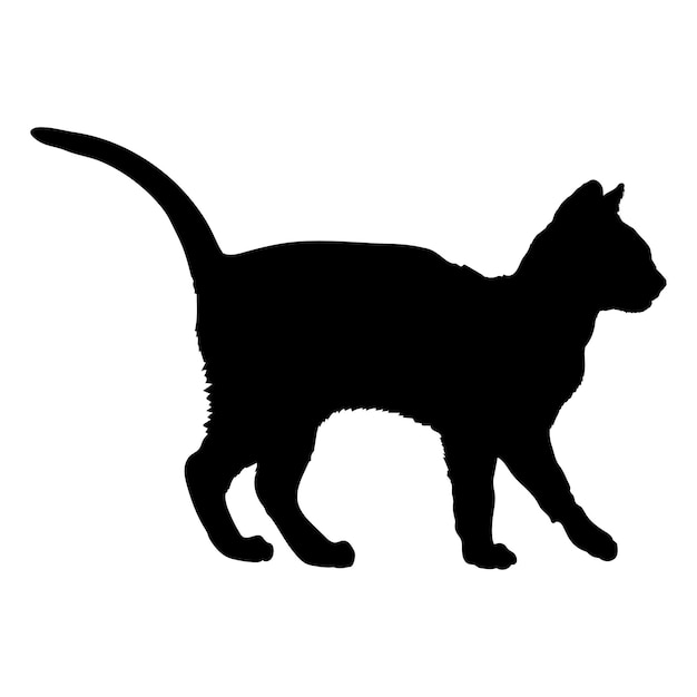 Wektor monogramu logo kota Kanaani