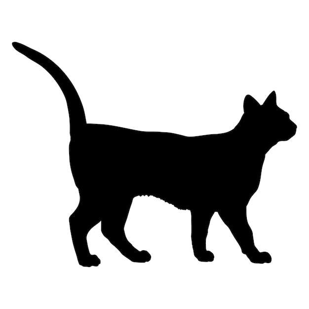 Wektor monogramu logo kota Sam Sawet